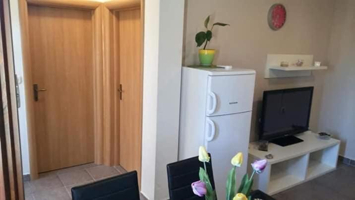 Apartment Dukic Sveti Filip i Jakov Extérieur photo