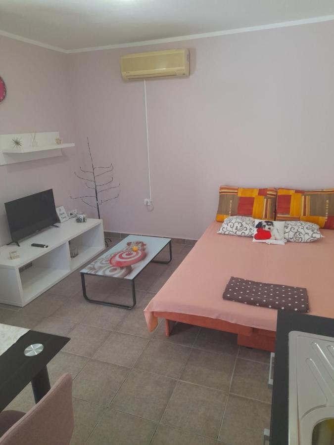 Apartment Dukic Sveti Filip i Jakov Extérieur photo