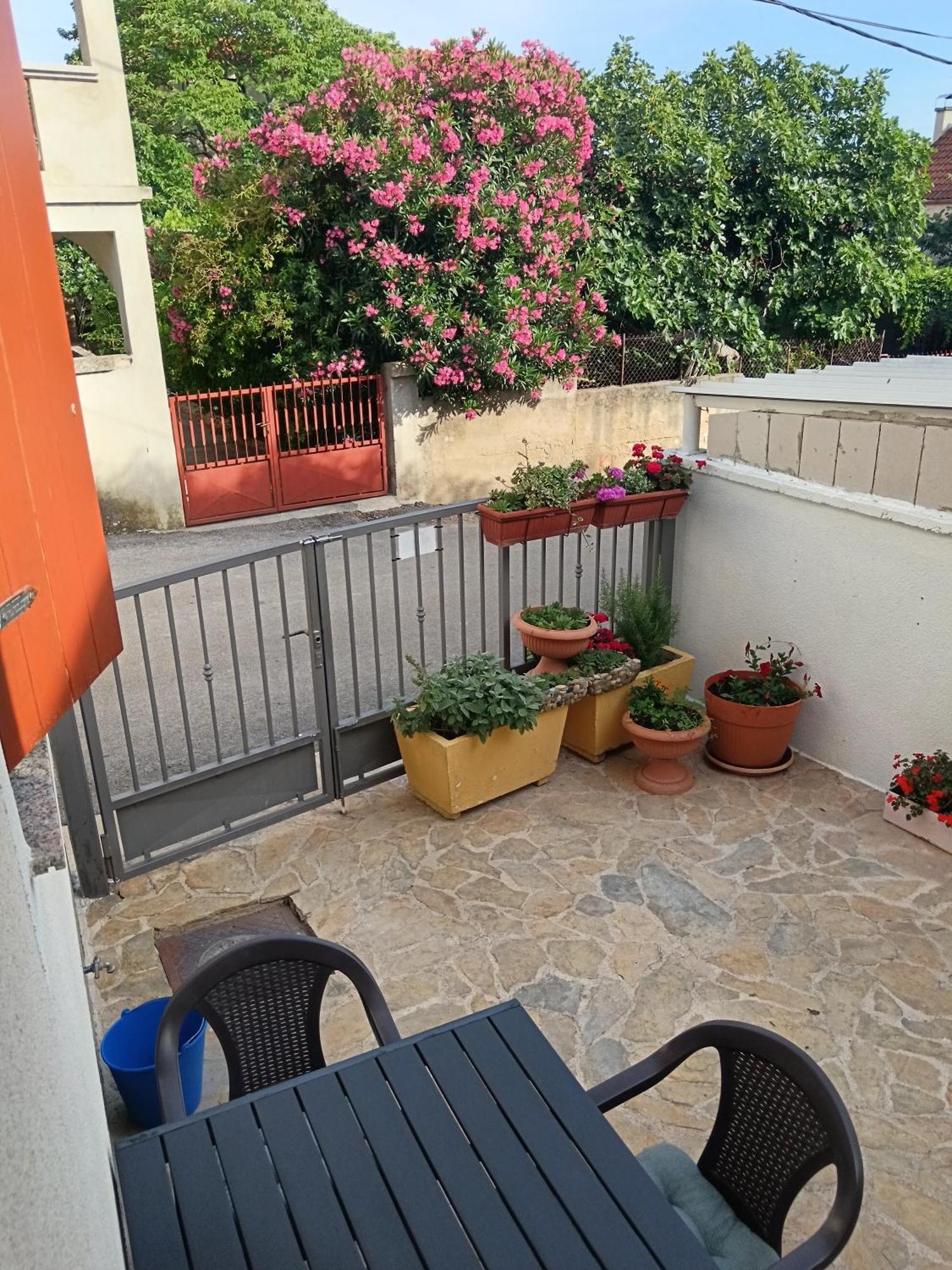 Apartment Dukic Sveti Filip i Jakov Extérieur photo